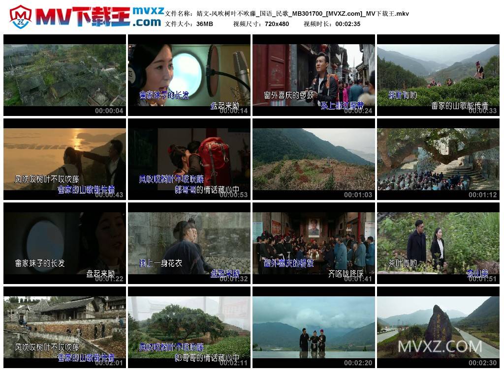 婧文-风吹树叶不吹藤_国语_民歌_MB301700